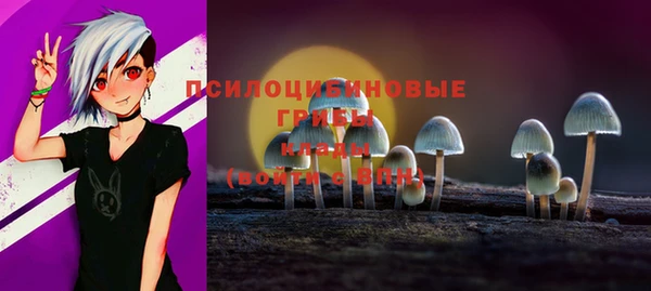 альфа пвп Гусь-Хрустальный