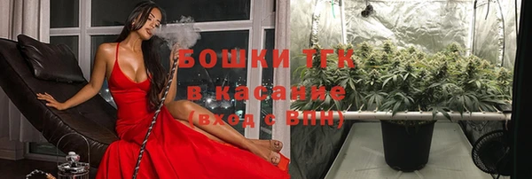 прущая мука Арсеньев