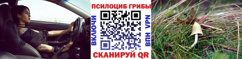 Псилоцибиновые грибы мухоморы  Обоянь 